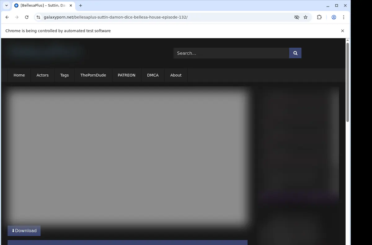 Galaxyporn Video Downloader screenshot 2