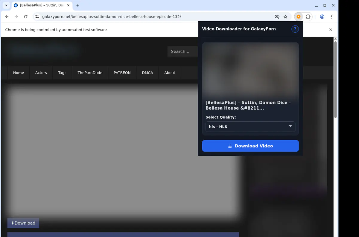 Galaxyporn Video Downloader screenshot 3